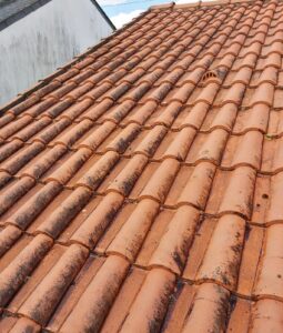 toiture tuiles avant nettoyage