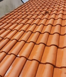 toiture tuiles après nettoyage